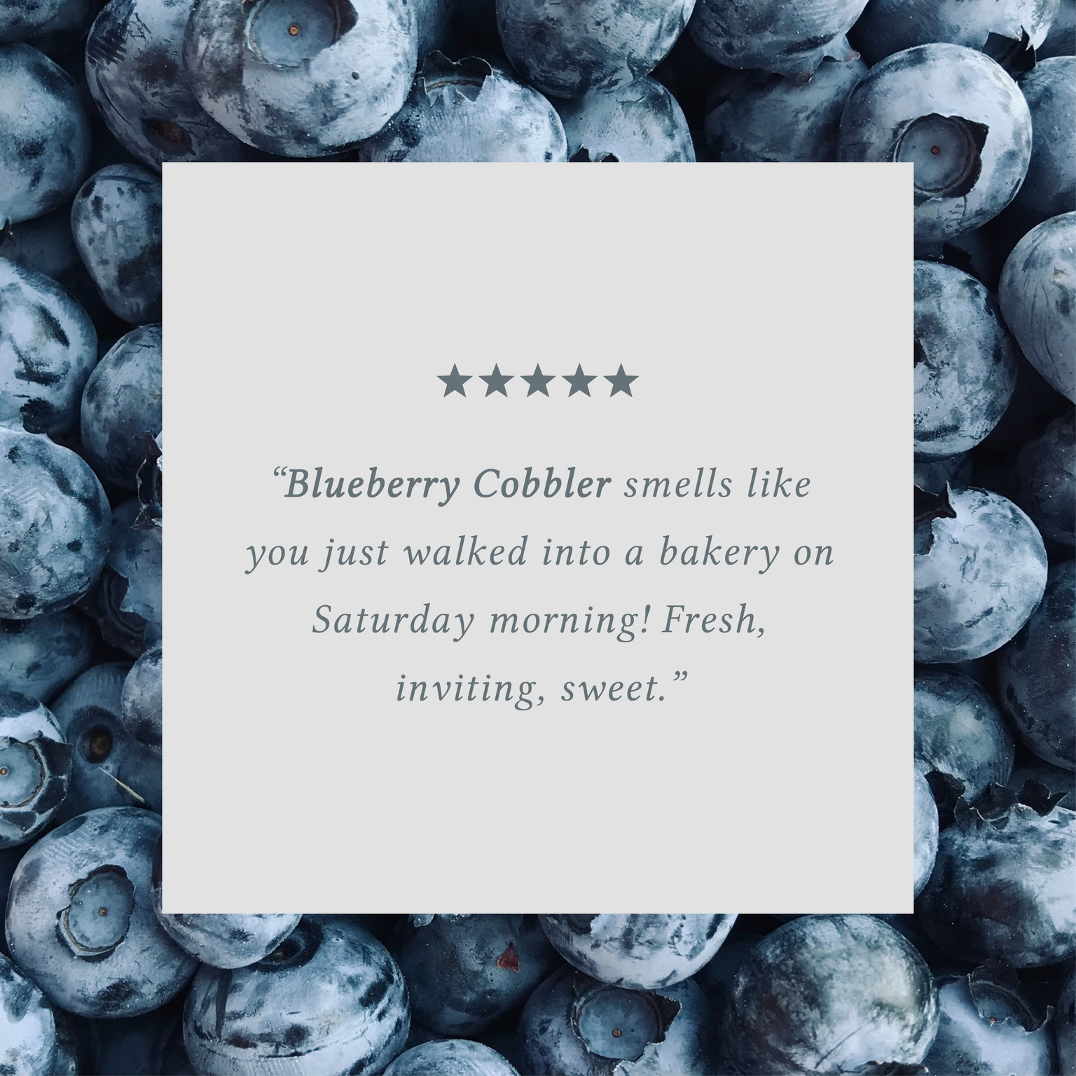 Blueberry Cobbler Bundle of Two