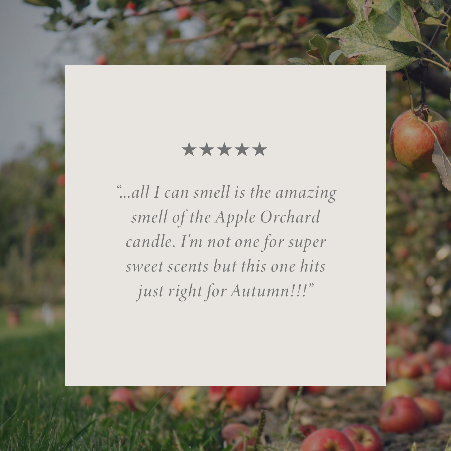 Apple Orchard 16 oz candle