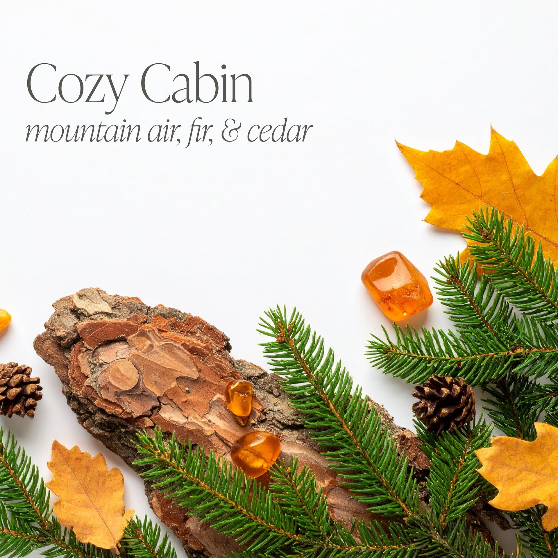 Cozy Cabin Bundle of Two