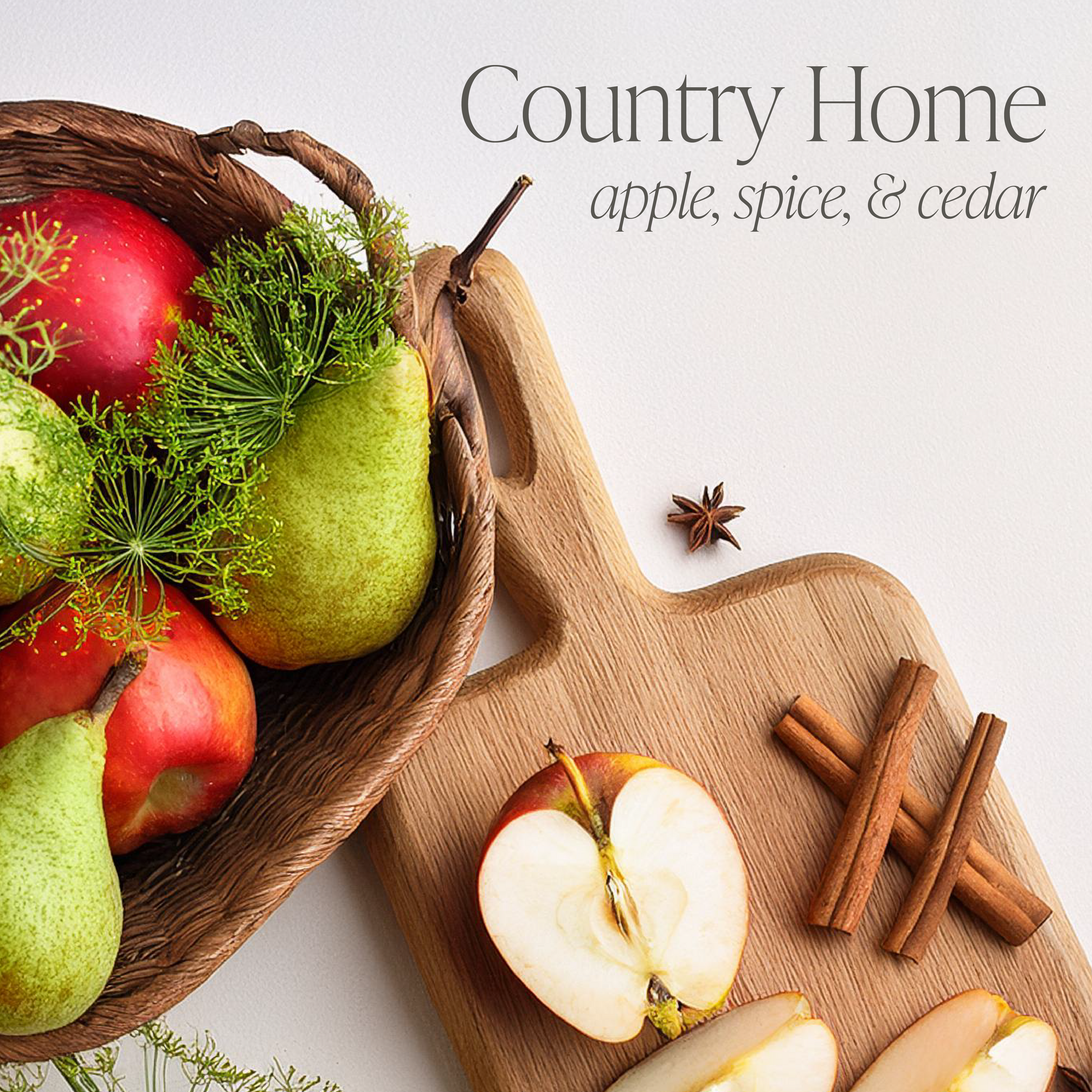 Country Home by Allie Boss Bundle of Two