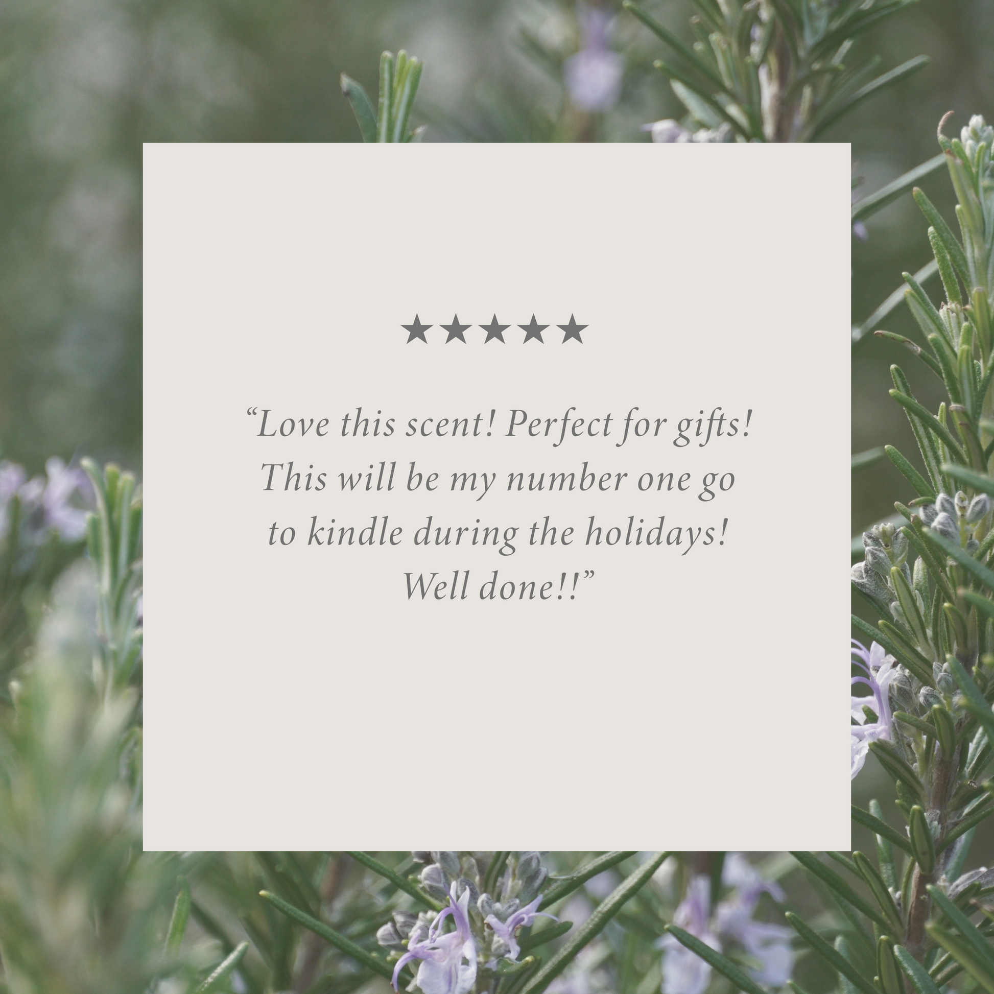 Country Pine by Allie Boss