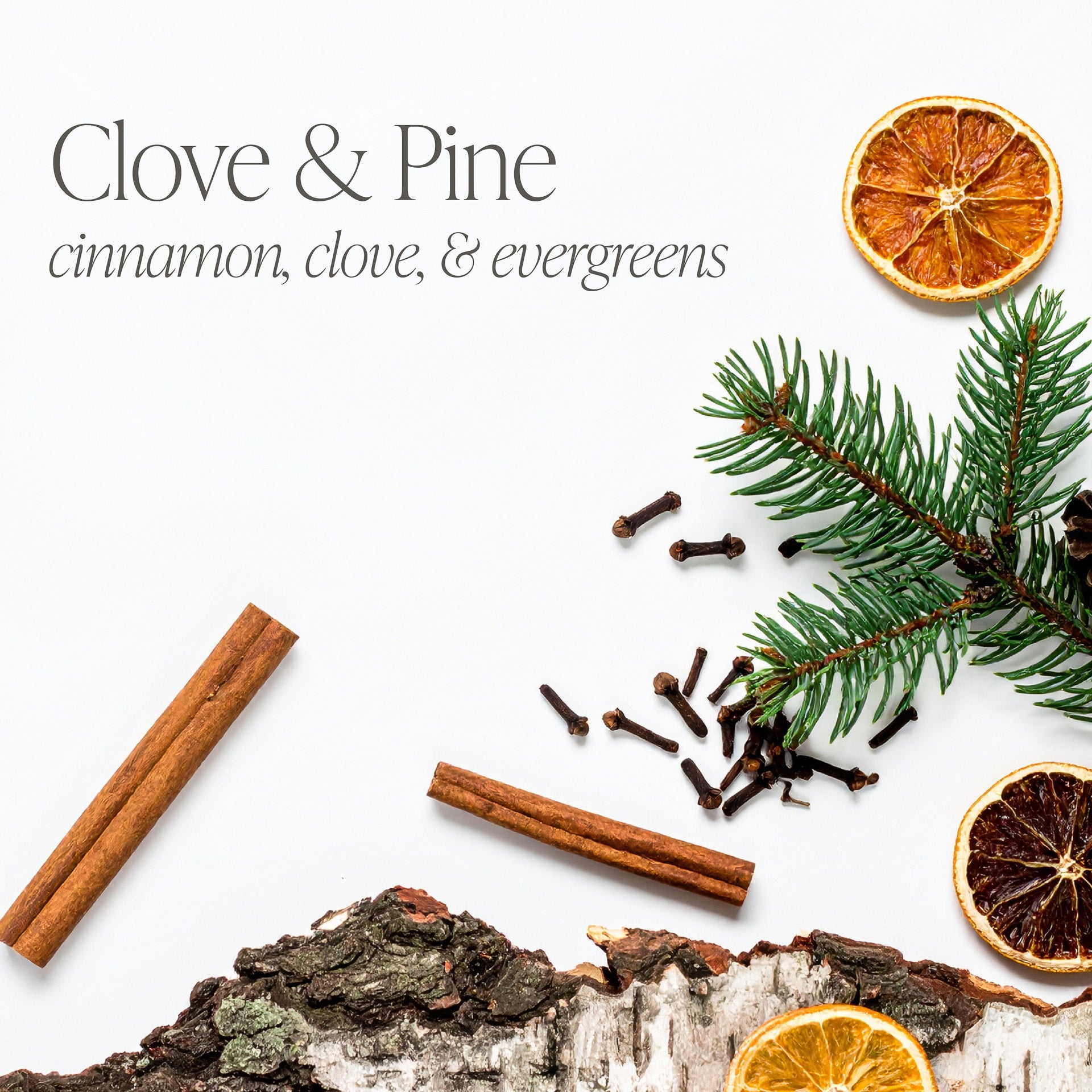 Clove & Pine Bundle of Two