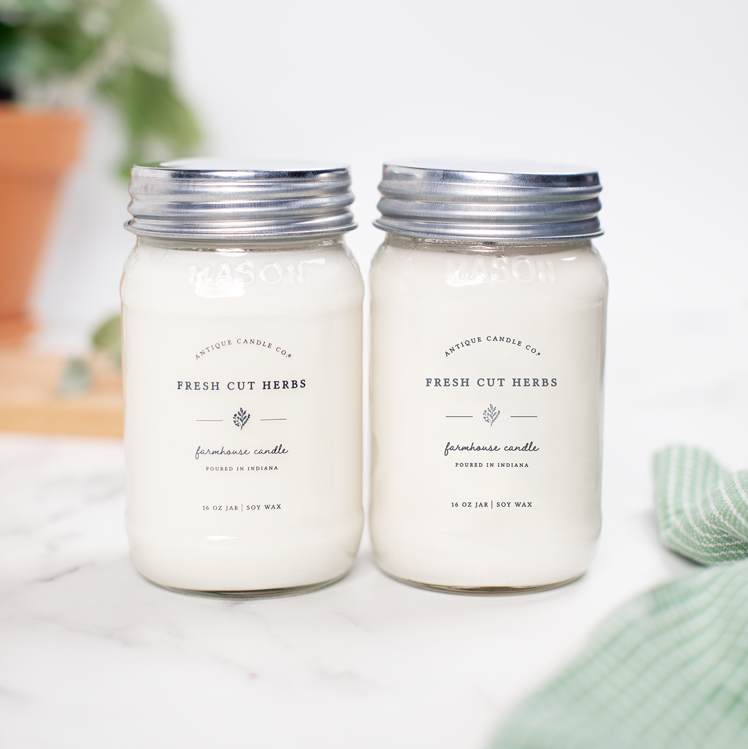 Fresh Cut Herbs Bundle of Two