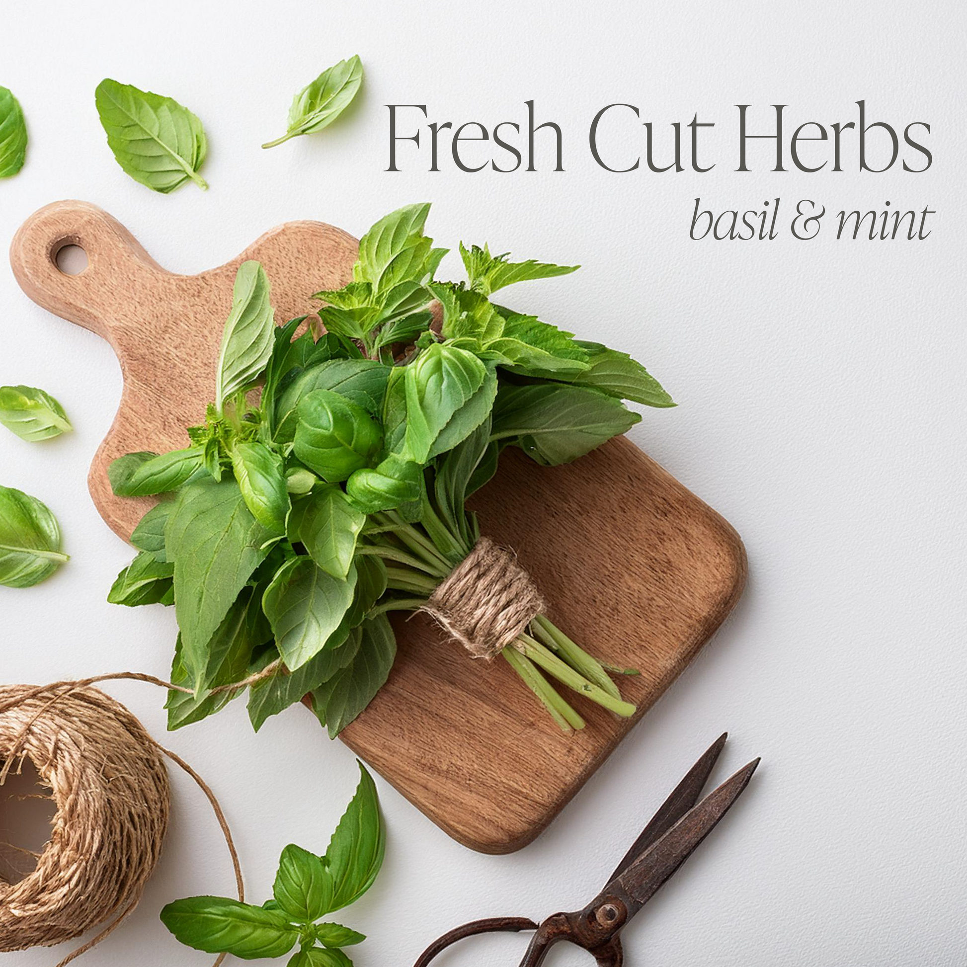 Fresh Cut Herbs Bundle of Two