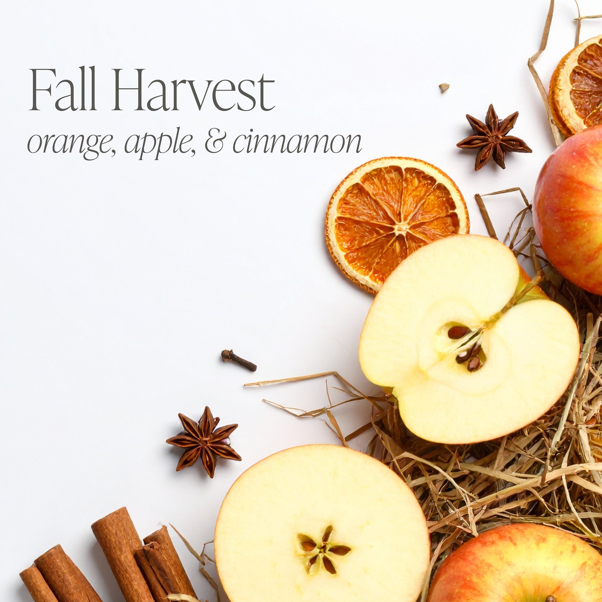 Fall Harvest 16 oz candle