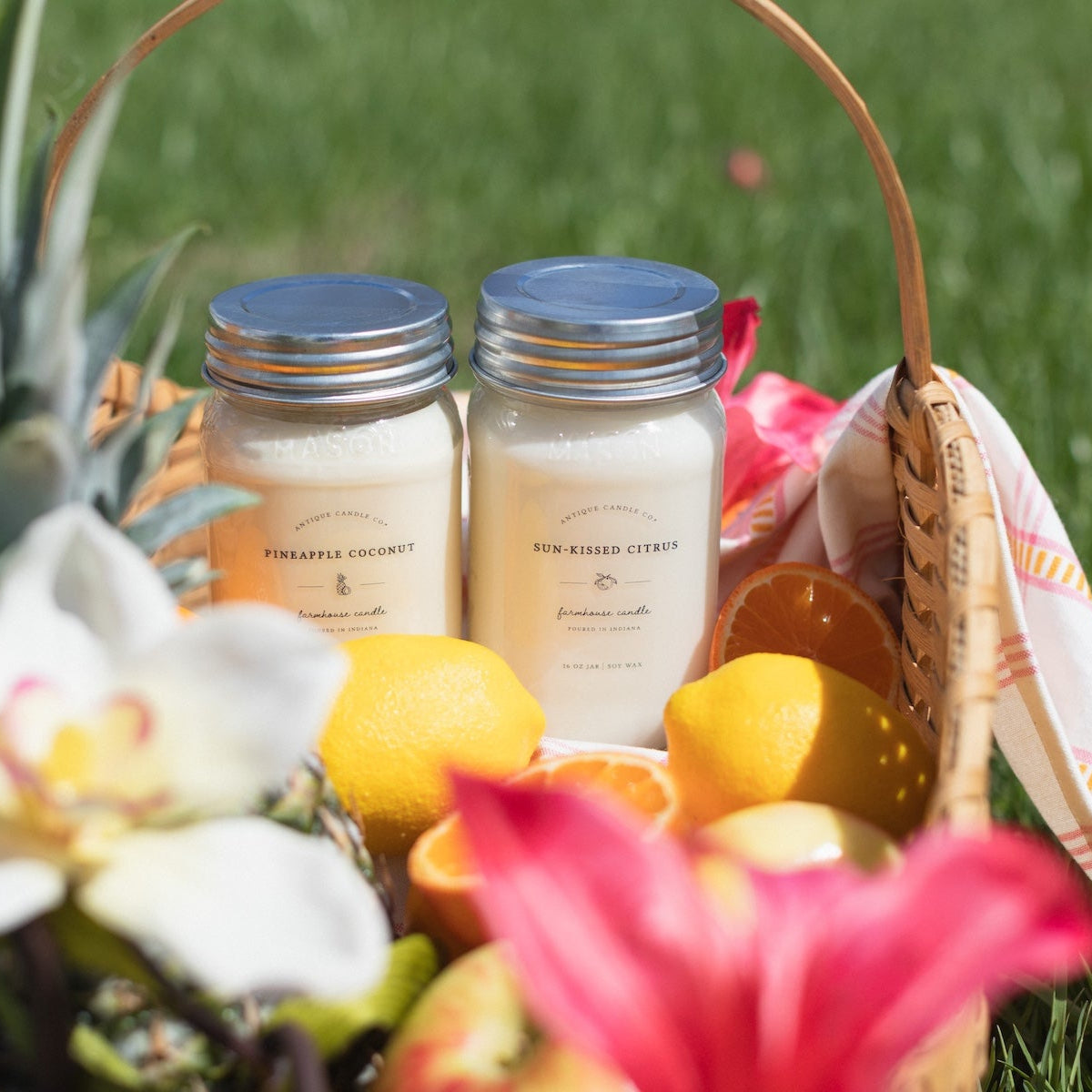 Sun-Kissed Citrus & Pineapple Coconut Bundle of Two