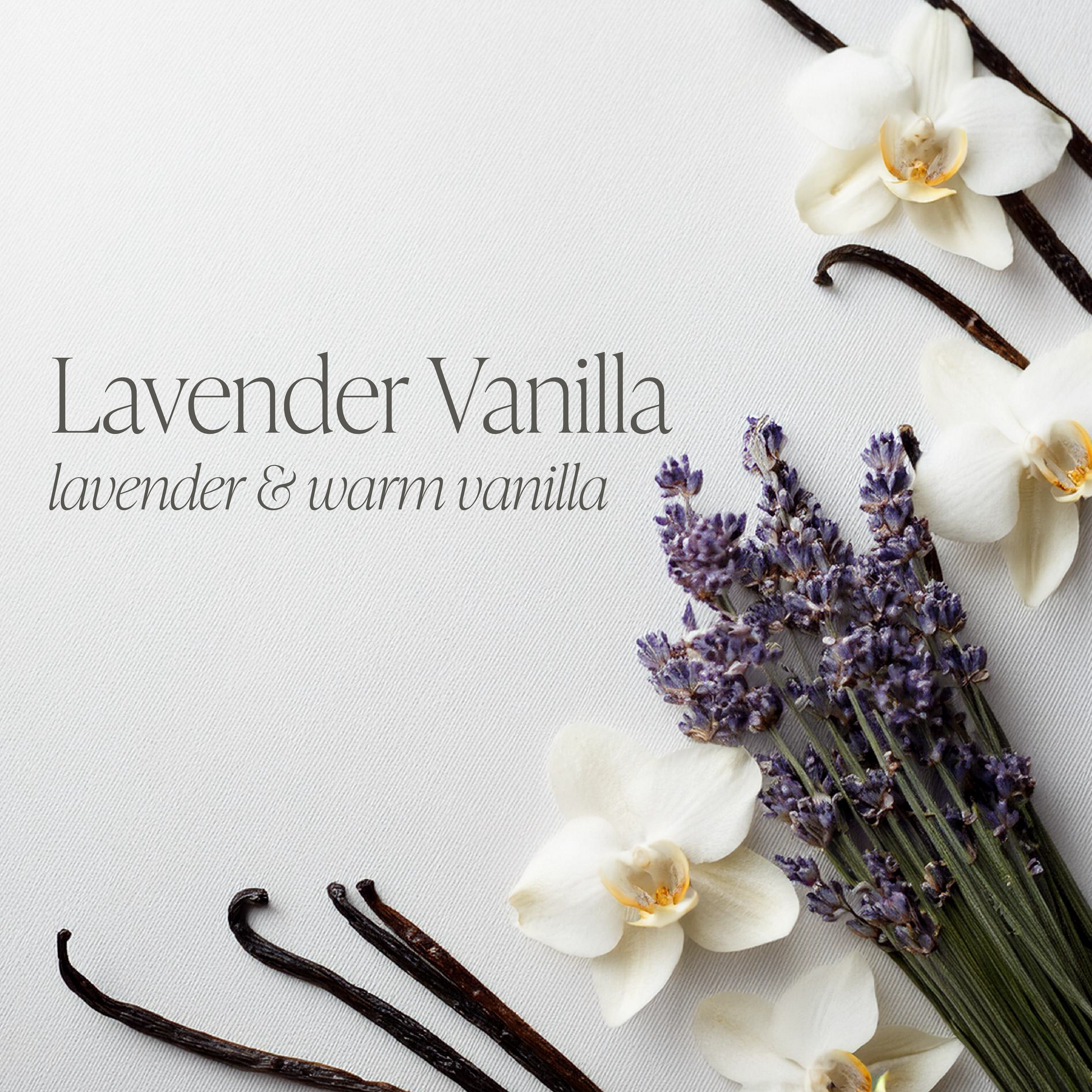 Lavender Vanilla Bundle of Two