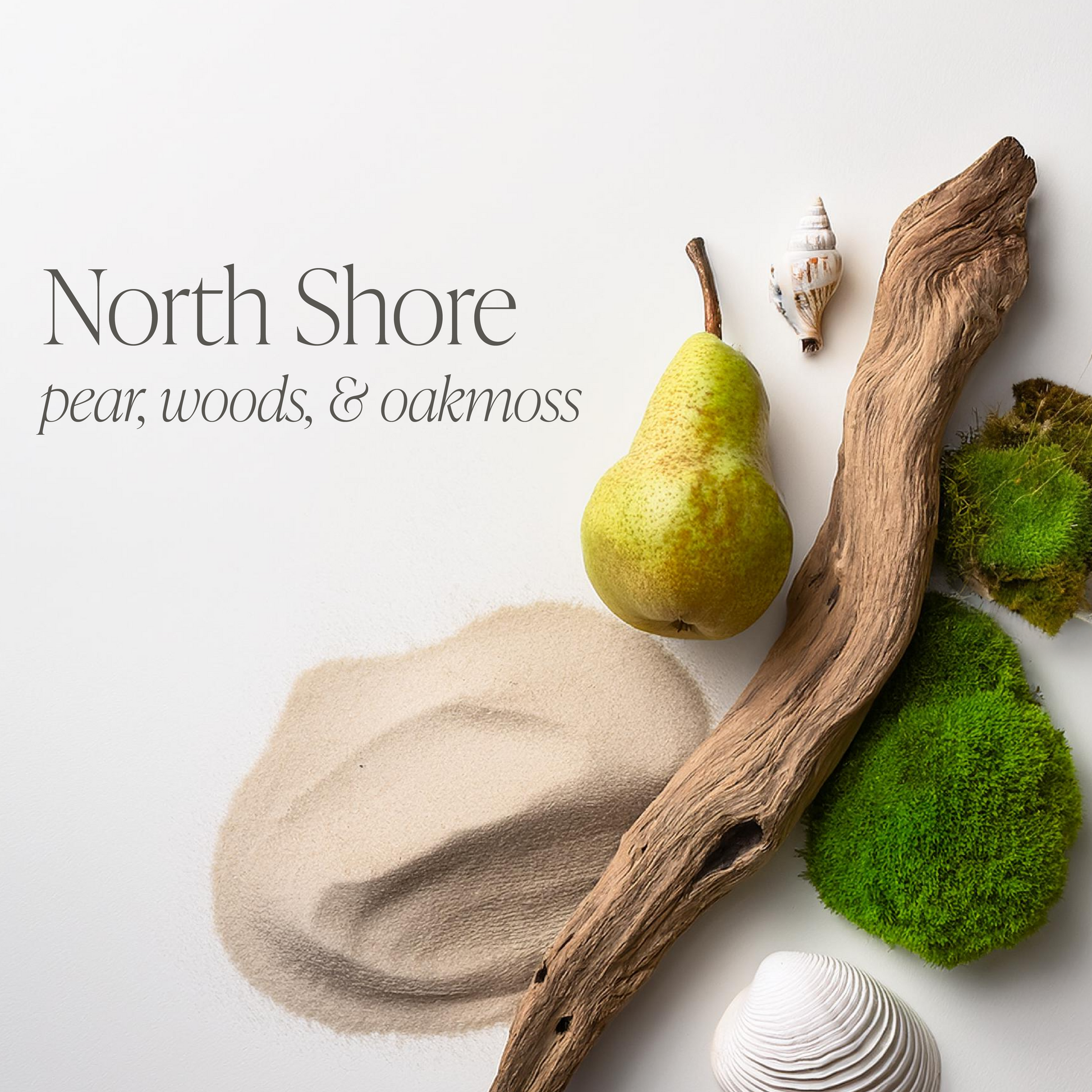 North Shore by Ellery Designs Bundle of Two