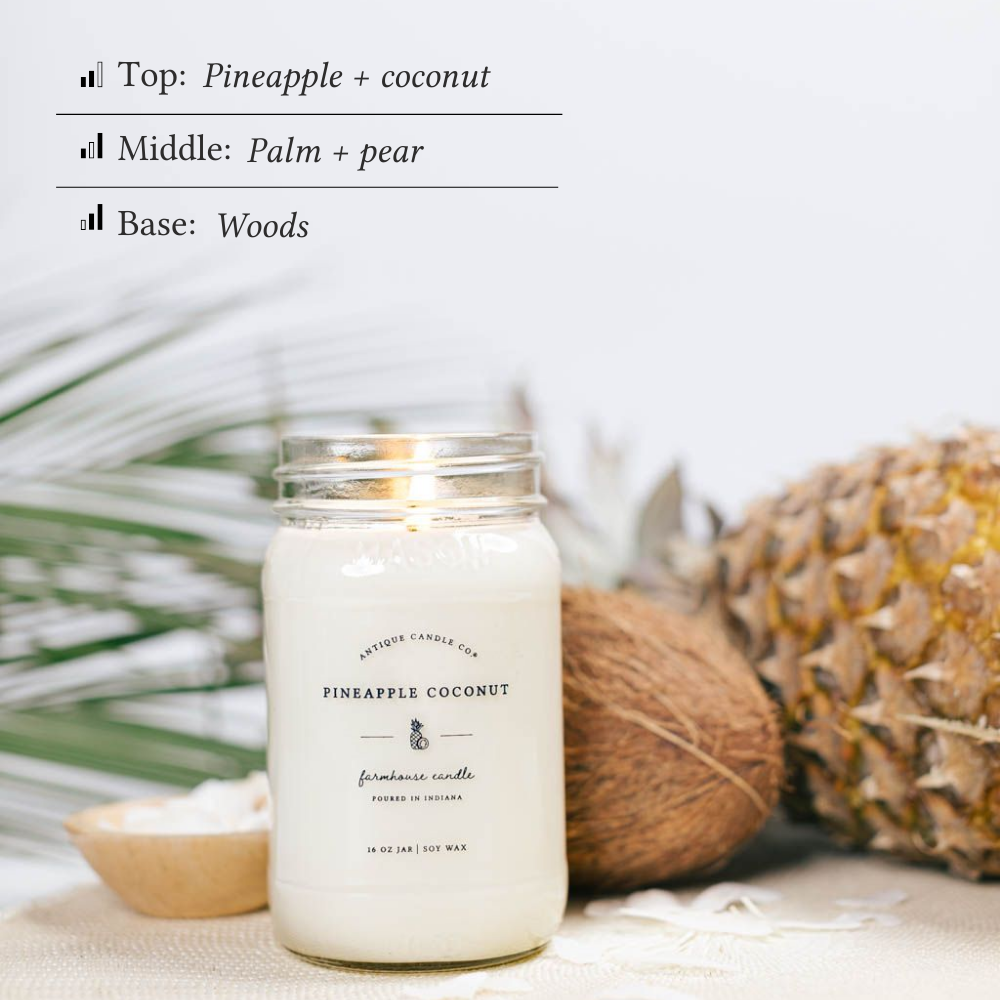 Pineapple Coconut Bundle of Two