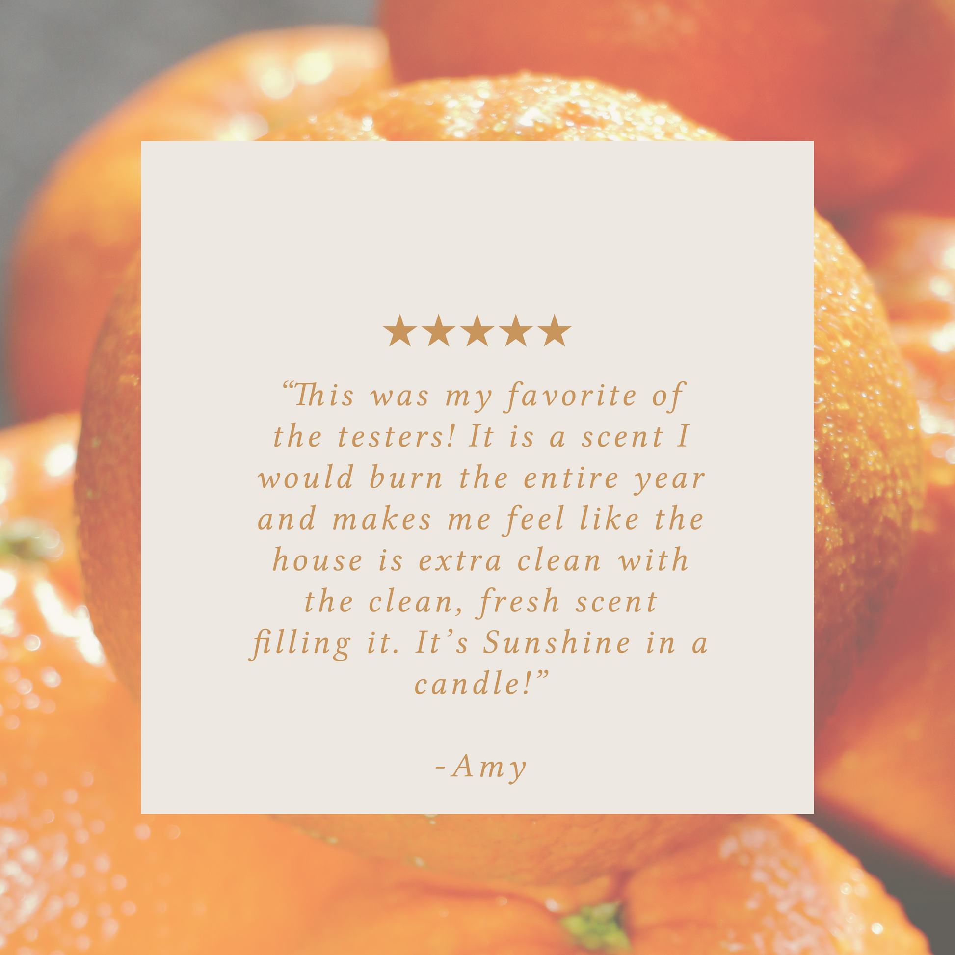 Sun-Kissed Citrus Bundle of Two