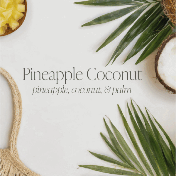 Sun-Kissed Citrus & Pineapple Coconut Bundle of Two