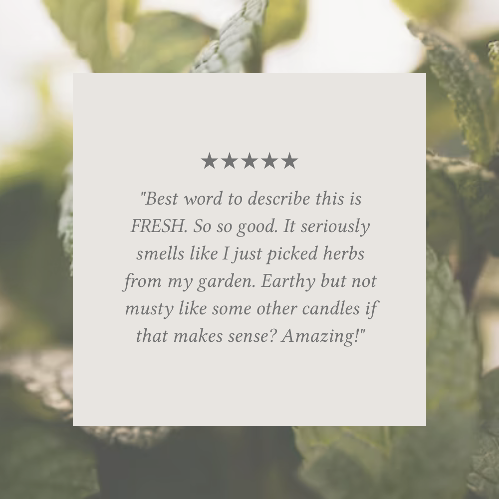 Fresh Cut Herbs 16 oz candle