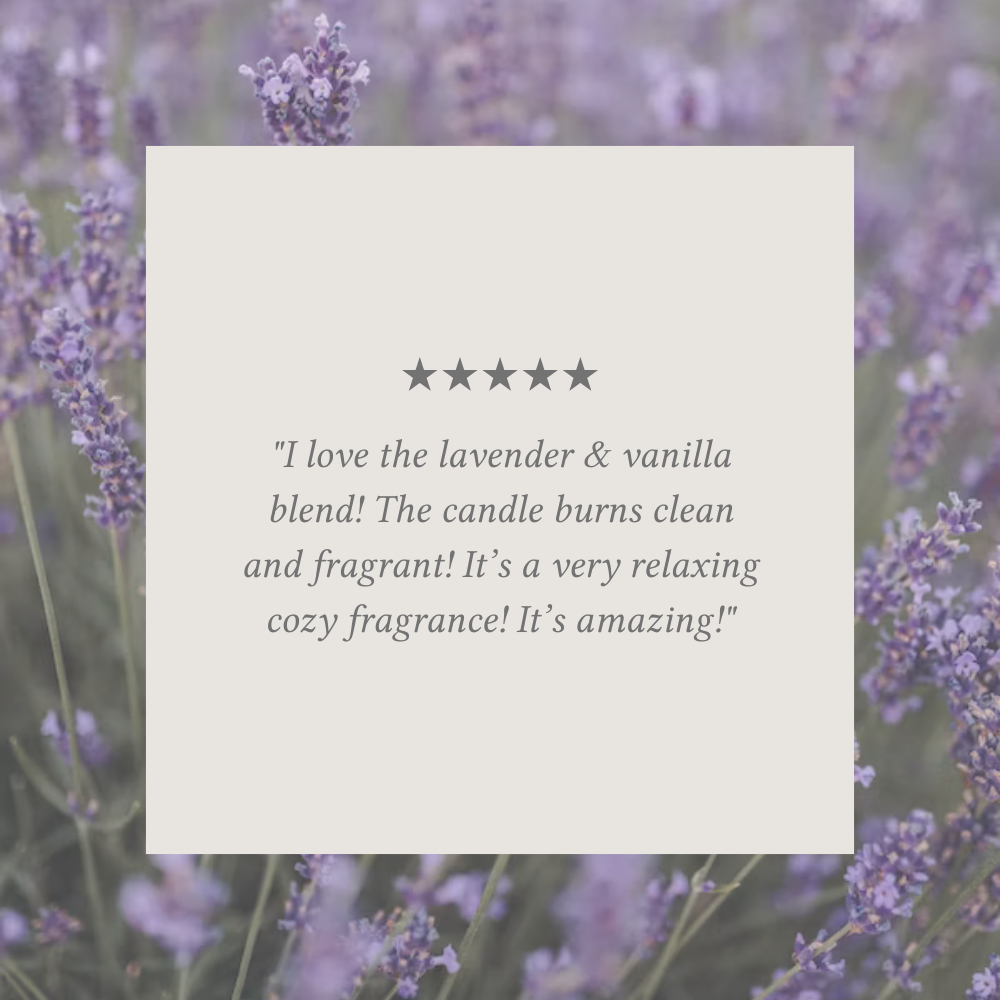 Lavender Vanilla Bundle of Two